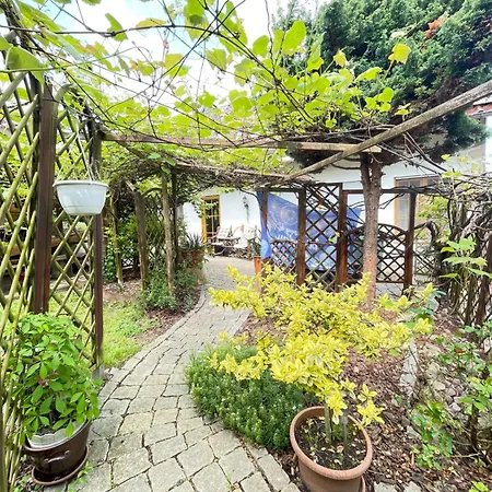 Innas Ambiente Hehlen Exterior photo