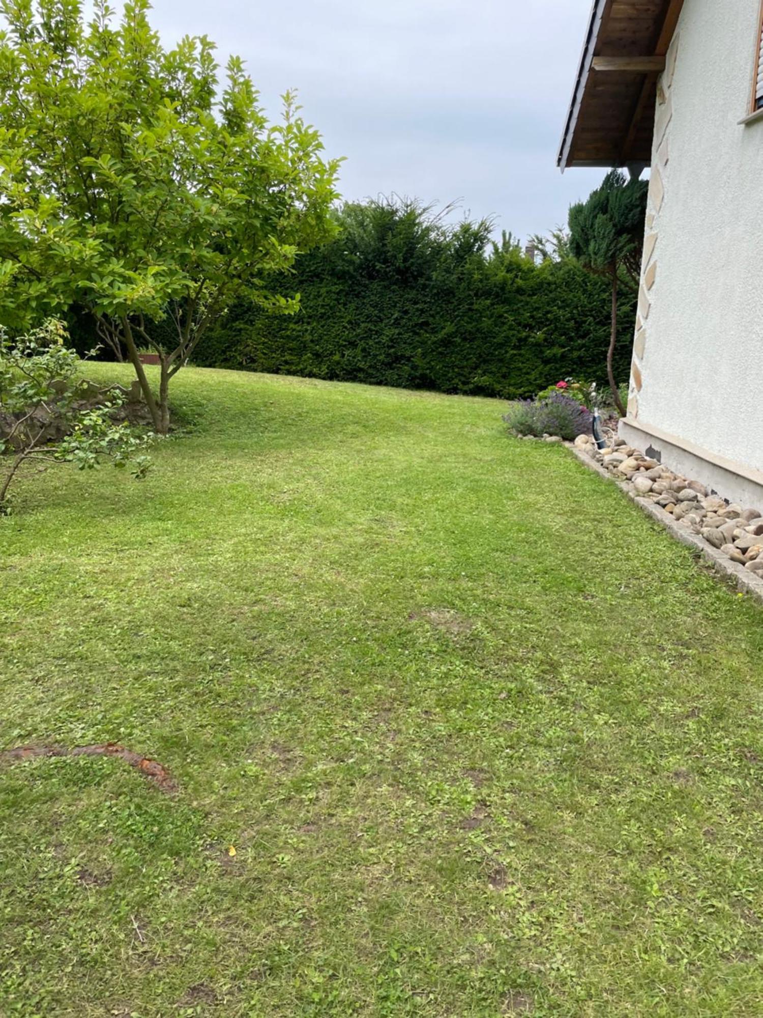 Innas Ambiente Homestay Hehlen